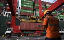 Sri Lanka trả Anh 242 container rác thải có chứa bộ phận cơ thể người