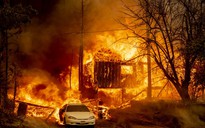 Cháy rừng dữ dội tại California, 8 người mất tích