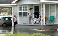 Mỹ gấp rút cứu hộ khi bão Ida tàn phá Louisiana