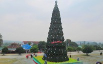 Cây thông Noel cao 41 m ở Nghệ An