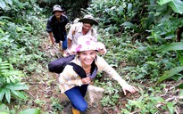 Quảng Nam xây bãi đáp trực thăng tại vùng sâm Ngọc Linh