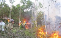 Cháy rừng tại Nghệ An