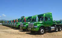 Một doanh nghiệp ở Quảng Ngãi mua 141 xe đầu kéo và xe tải Trung Quốc