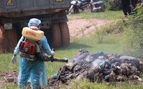 Bệnh viện chôn trộm chất thải y tế: Giám đốc Sở TNMT Tây Ninh nhận khuyết điểm