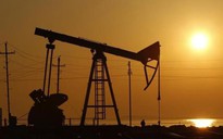 Giá dầu đã 'thổi bay' 1.300 tỉ USD