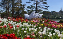5.000 m2 hoa bên hồ Xuân Hương