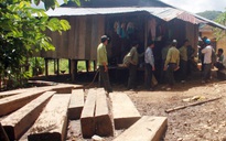 Bãi gỗ lậu gần trạm bảo vệ rừng: Đội quản lý rừng ém nhẹm thông tin gỗ lậu