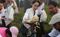 Bà Suu Kyi xuống đường nhặt rác