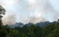 12 tỉnh đối mặt cháy rừng cực kỳ nguy hiểm
