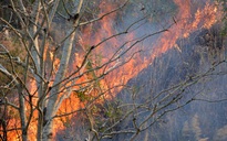 Cháy rừng trên đèo Mang Yang