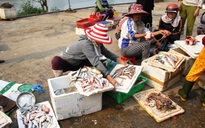 Cá đặc sản chết trắng bờ: Dân không ăn, tiểu thương méo mặt