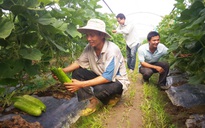 Nông sản sạch tiêu thụ trong ngày