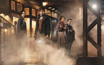 ‘Fantastic Beasts’ hạ bệ ngôi vương của ‘Doctor Strange’