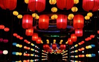 Lễ hội đèn lồng khổng lồ Việt - Hàn