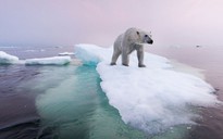 Tham vọng 500 tỉ USD đóng băng lại Bắc cực