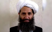 Taliban kêu gọi trồng cây