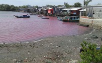 Nước hồ xả thải hóa màu tím, nhiều hộ nuôi cá lồng bè lo sợ