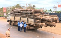 Khiếp đảm xe chở gỗ quá tải ở Gia Lai
