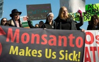 Tòa án quốc tế kết luận Monsanto phá hoại môi trường