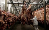 Mỹ từ chối dỡ bỏ lệnh cấm nhập khẩu thịt bò Brazil