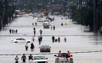 Mỹ có thể thiệt hại tới 100 tỉ USD vì siêu bão Harvey