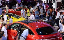8 tháng, Việt Nam nhập khẩu gần 65.500 ô tô