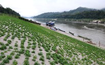 Thái Lan hoãn mua điện từ đập sông Mê Kông