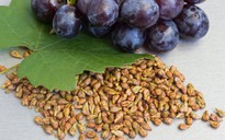 9 lợi ích bất ngờ từ việc ăn nho không bỏ hạt