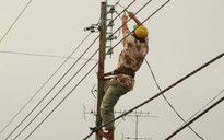 Kéo giảm sự cố lưới điện và tai nạn điện trong nhân dân