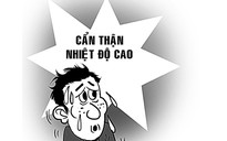 Vườn hồng