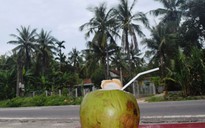 Ngọt ngào nước dừa Tam Quan