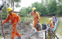 Tổng công ty Điện lực miền Nam: 'Điểm sáng' trong xây dựng nông thôn mới