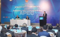 20 năm APEC - cầu nối Việt Nam với thế giới