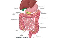 Những biểu hiện của đại tiện bạn chớ có coi thường