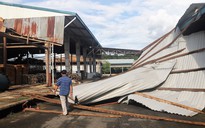 Lốc xoáy kinh hoàng ở Đạ Huoai gây thiệt hại gần 5,5 tỉ đồng