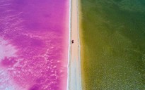 Bí ẩn chuyện hồ nước mang sắc hồng Hutt Lagoon