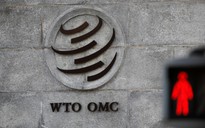 Đằng sau việc Mỹ dọa rời WTO