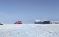 Nga bật đèn xanh cho tư nhân khai thác Bắc Cực