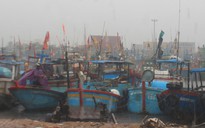 Tâm bão số 5 vào Bình Định - Phú Yên