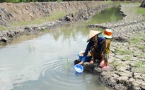 Xâm nhập mặn ở Đồng bằng sông Cửu Long sẽ vượt mốc lịch sử năm 2016