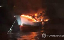 5 thuyền viên Việt Nam mất tích trong vụ cháy tàu cá tại Hàn Quốc