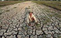 158.900 hộ dân ở Nam bộ có nguy cơ thiếu nước sinh hoạt