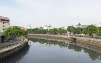 Hồn biển ven bờ kênh Nhiêu Lộc