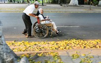 Hà Nội ơi!