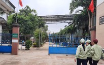 Từ đơn thư bạn đọc: Xí nghiệp chế biến gỗ gây ô nhiễm