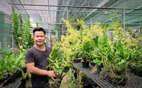 Ông chủ trẻ đầu mối tiêu thụ hoa lan của 27 nhà vườn
