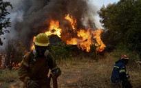 Châu Âu tất bật đối phó cháy rừng