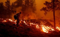 Vụ cháy rừng lớn thứ 2 lịch sử bang California