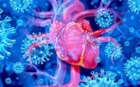 Dấu hiệu để nhận biết viêm cơ tim, khi nào nên gọi cấp cứu?