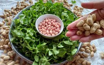 Hương vị quê hương: Canh rau má đậu phộng, mùi vị ký ức